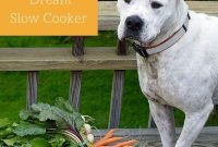 How to Choose the Perfect Slow Cooker for Your Kitchen