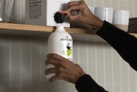 35 Organic and Non-Toxic Canadian Brands You Can Trust