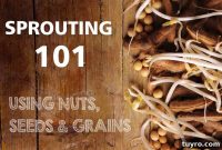How to Sprout Nuts, Seeds & Grains at Home