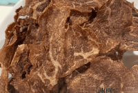 How to Make Crispy Carnivore Meat Chips
