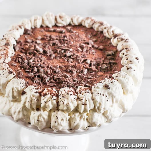 Chocolate Cheesecake Fat Bombs: Cake, Frozen Treats & Mousse Variations 4 Rich Chocolate Cheesecake aka Chocolate Fat Bomb Cake | Low-Carb, So Simple
