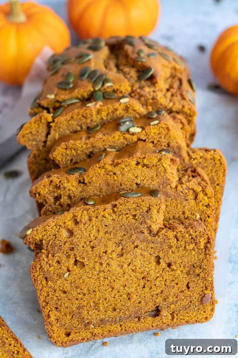 Sliced vegan pumpkin loaf Close up of vegan pumpkin loaf cake cut into slices with mini pumpkins in the background.