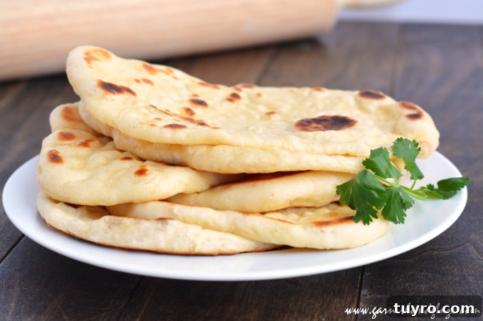 Homemade Naan Bread Recipe 3 Naan- Indian Flat Bread | Garnish & Glaze