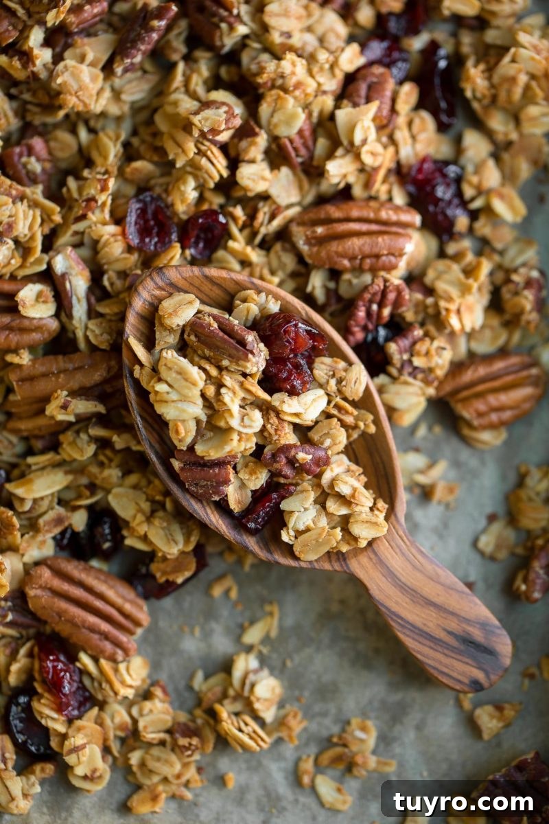 Maple Pecan Granola Recipe with Crunchy Clusters and Toasted Nuts 4 scoop of maple pecan granola with dried cranberries