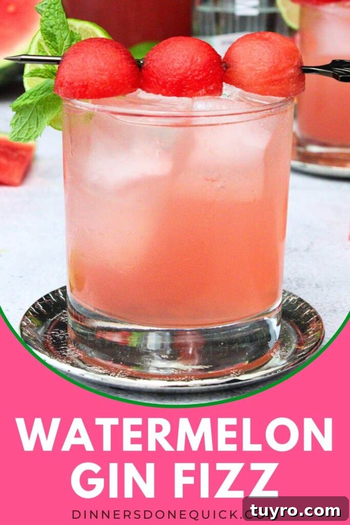 Watermelon Gin Fizz: 3-Ingredient Summer Cocktail Recipe 11 watermelon gin fizz recipe dinners done quick pinterest
