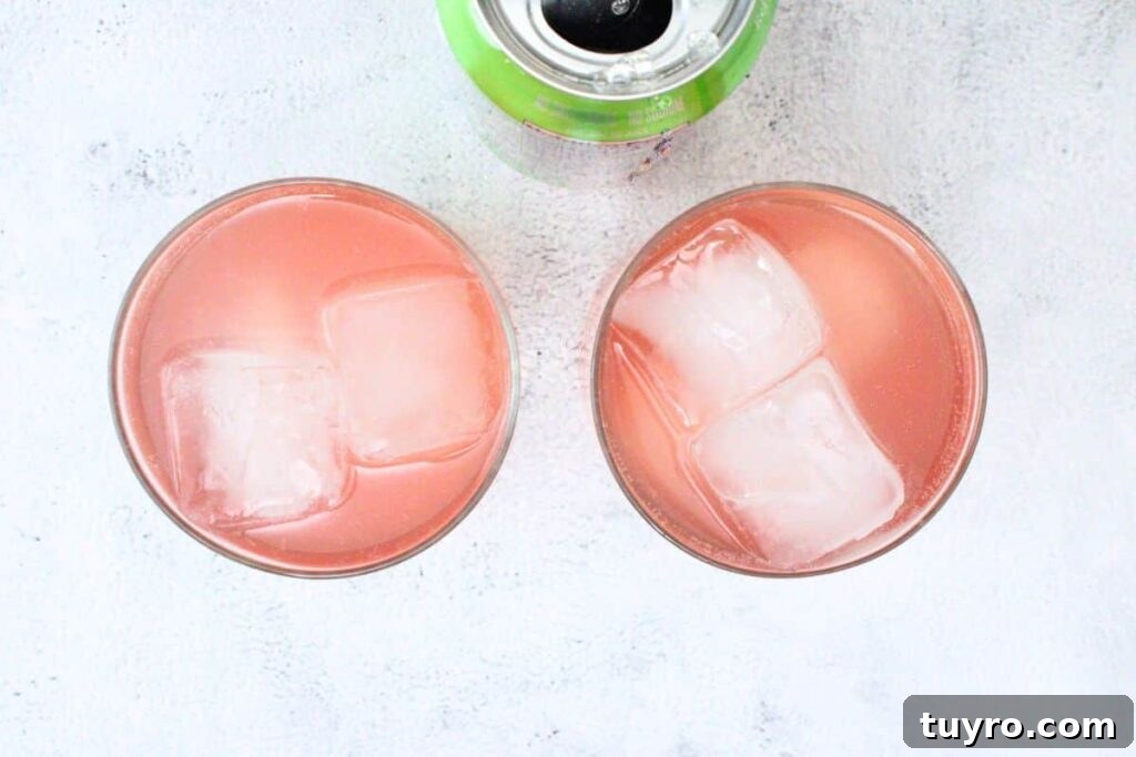 Watermelon Gin Fizz: 3-Ingredient Summer Cocktail Recipe 7 add lime seltzer juice on top of watermelon gin