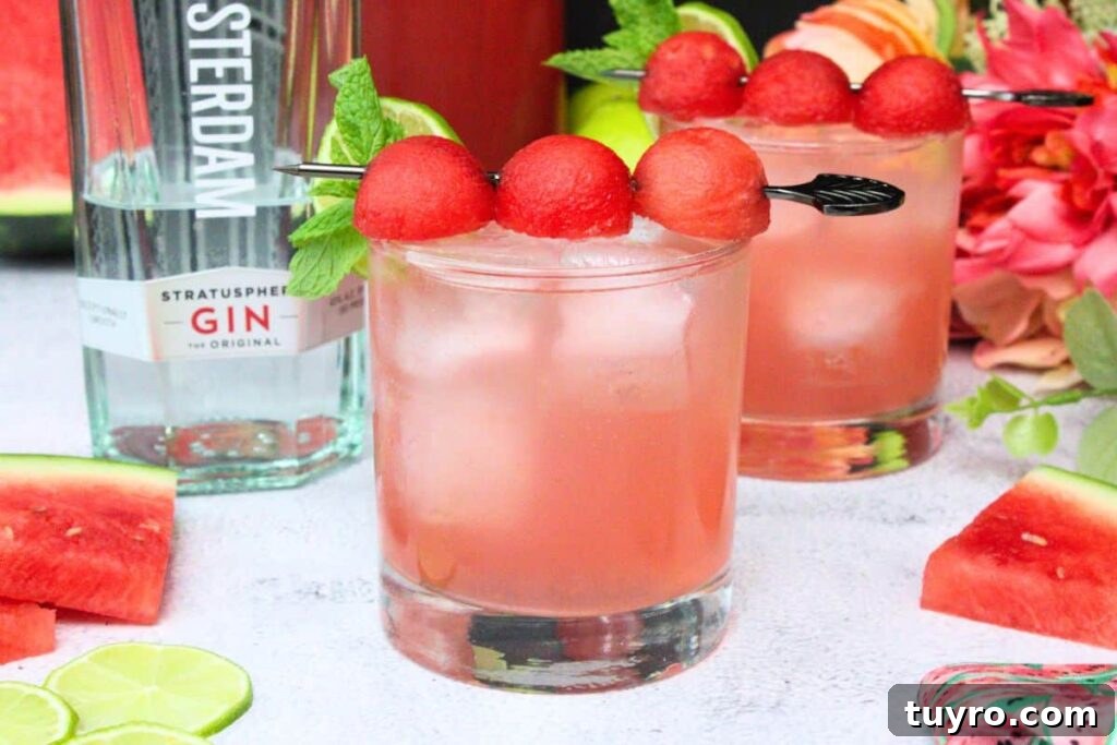 Watermelon Gin Fizz: 3-Ingredient Summer Cocktail Recipe 9 watermelon gin fizz cocktail with melon ball skewer, mint, and lime garnish in front of gin bottle
