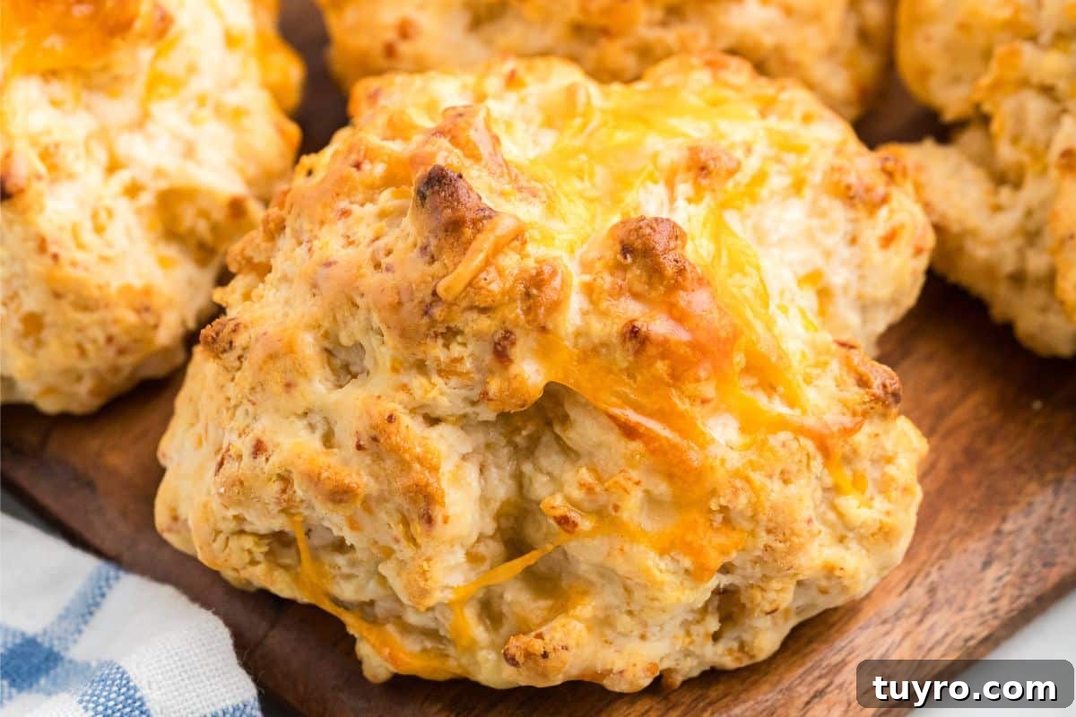 Copycat Cheddar Bay Biscuits Recipe 8 a graphic image of red lobster biscuit recipe.