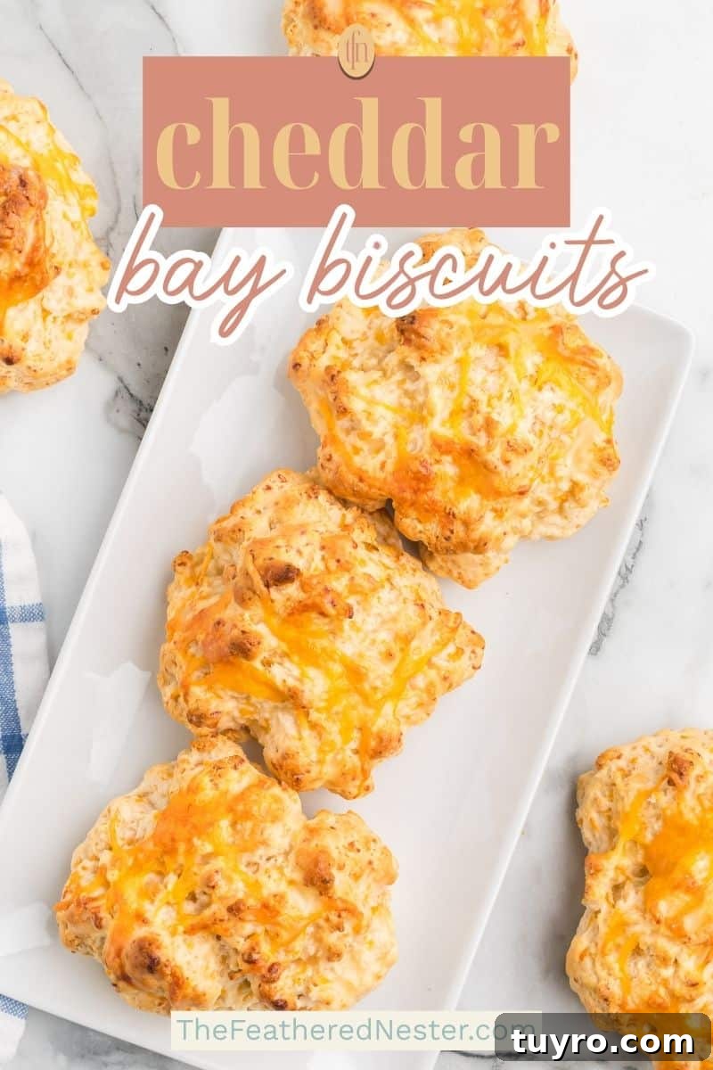 Copycat Cheddar Bay Biscuits Recipe 10 a graphic pin image for cheddar bay biscuits.