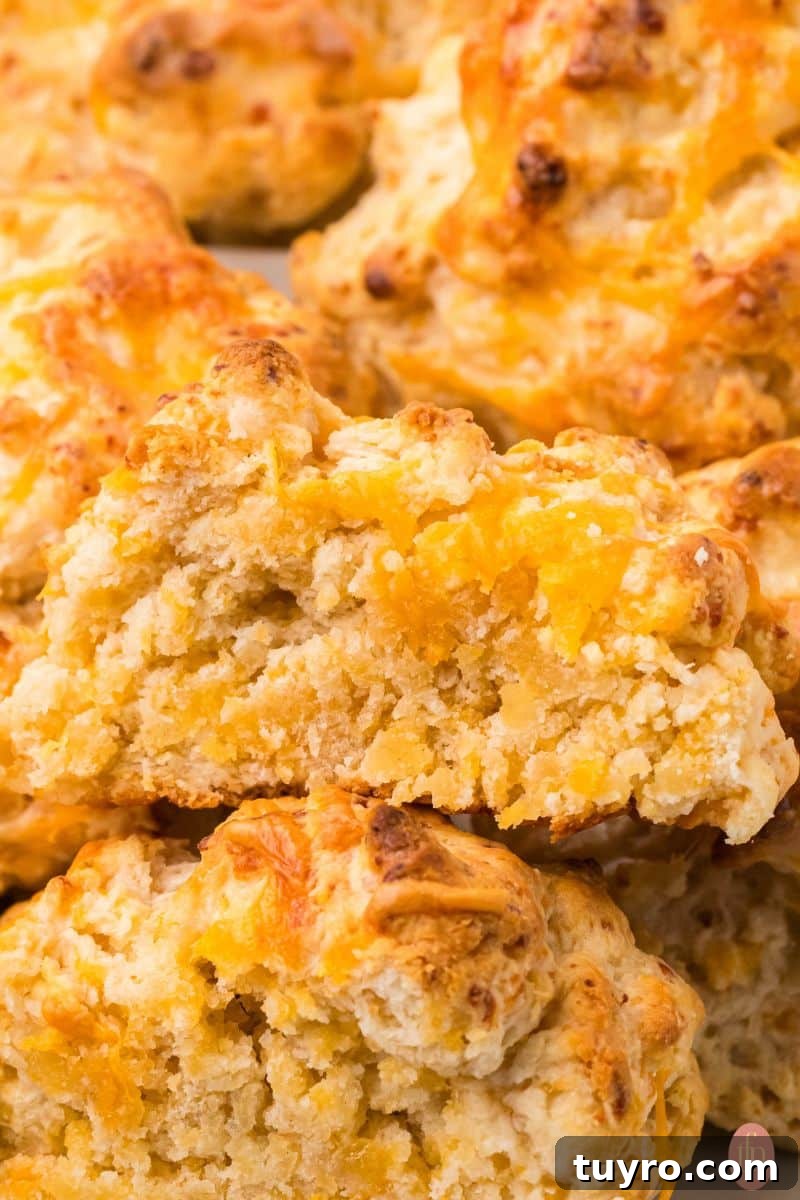 Copycat Cheddar Bay Biscuits Recipe 4 an image of cheddar bay biscuits cut in half.