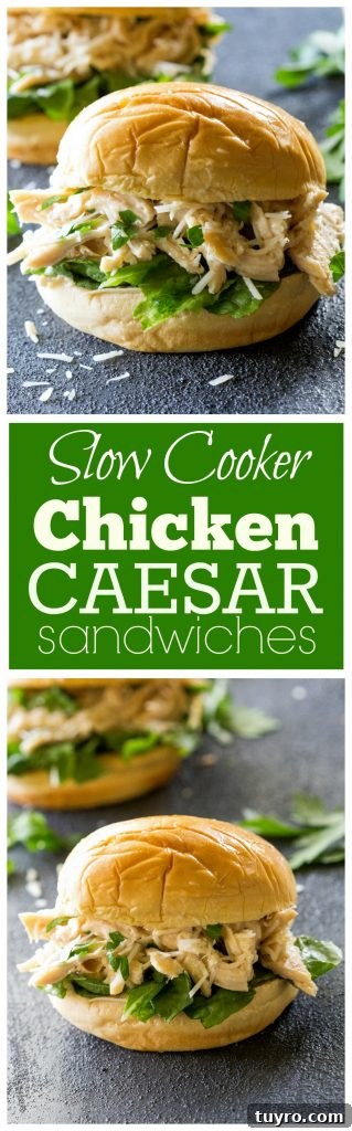 Slow Cooker Chicken Caesar Sandwich Recipe for Busy Weeknights 7 Slow Cooker Chicken Caesar Sandwiches - a tried and true favorite! #chicken #crockpot #dinner #caesar #slowcooker