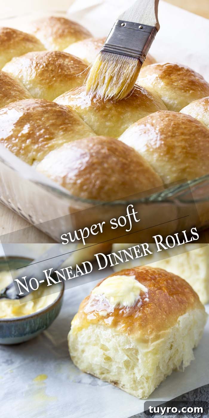 Tray of rolls being brushed with butter and text overlay - No Knead Dinner Rolls.