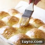 No-knead dinner rolls