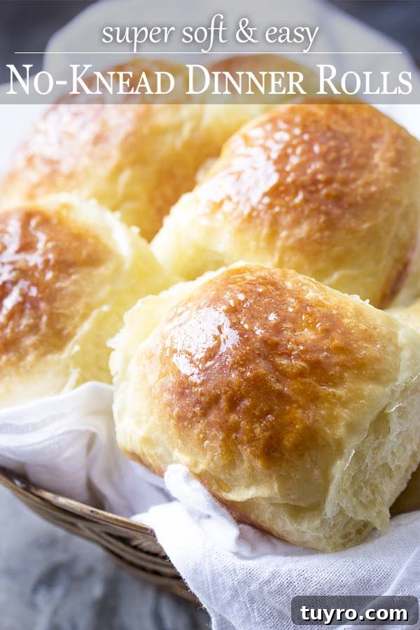 Close up of rolls in a basket with text overlay - No Knead Dinner Rolls.