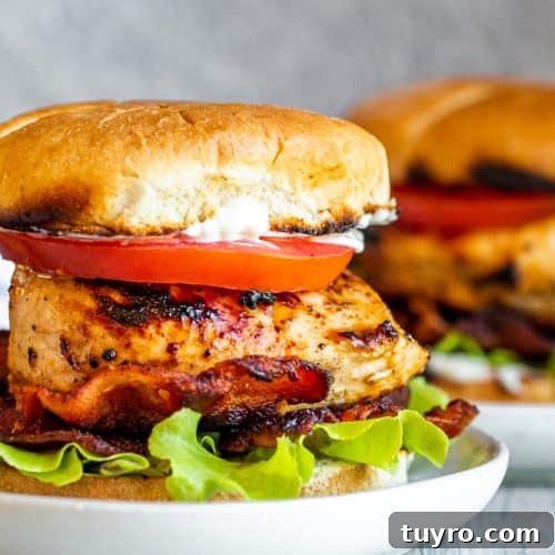Strait on shot of chicken sandwich on white plate on white counter.