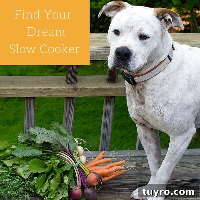 How to Choose the Perfect Slow Cooker for Your Kitchen 2 TIPS ON PICKING OUT A SLOW COOKER THAT’S RIGHT FOR YOU