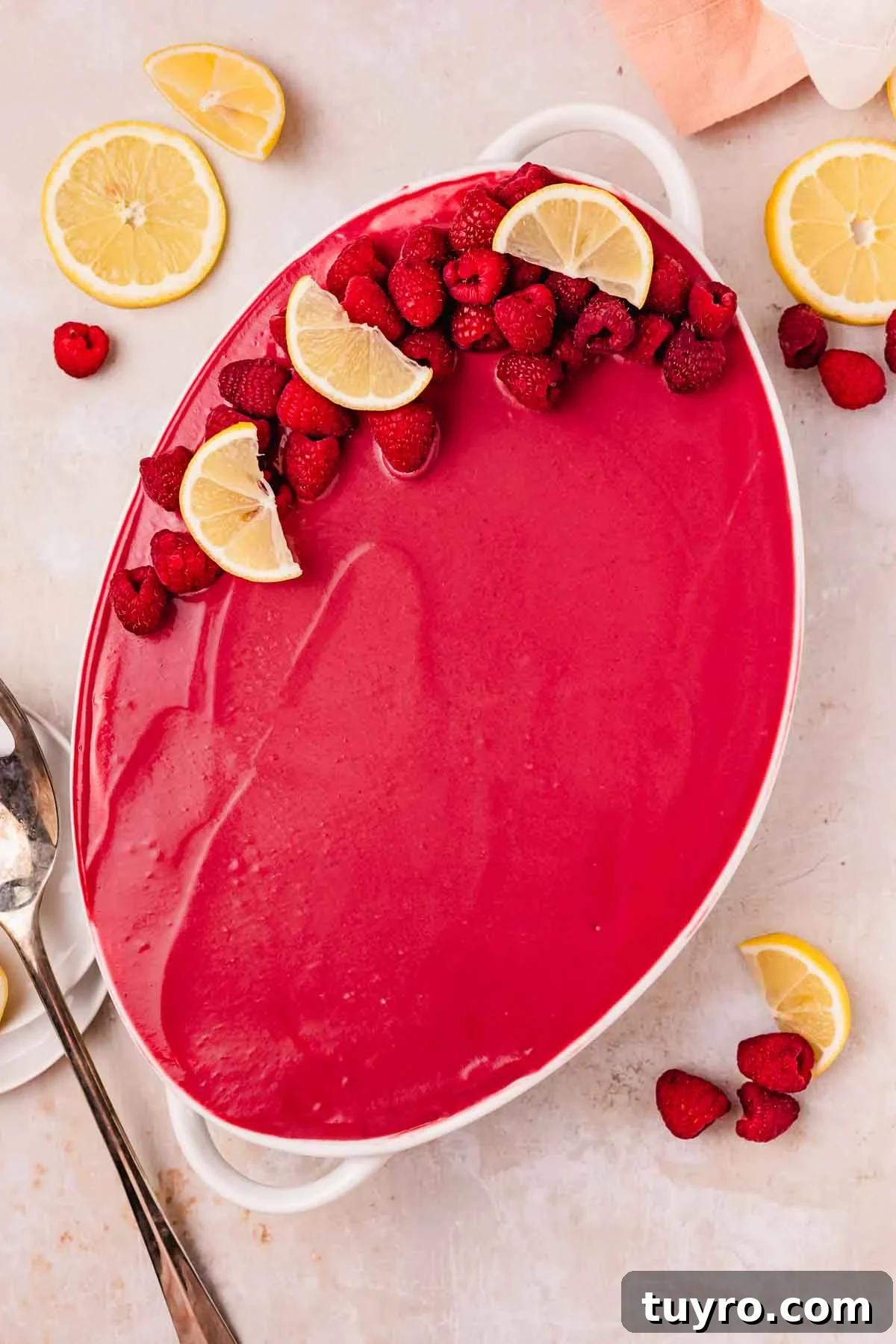 Raspberry Tiramisu Recipe: Light, Creamy Berry Dessert 15 decorated raspberry tiramisu topped with fresh raspberries and lemons