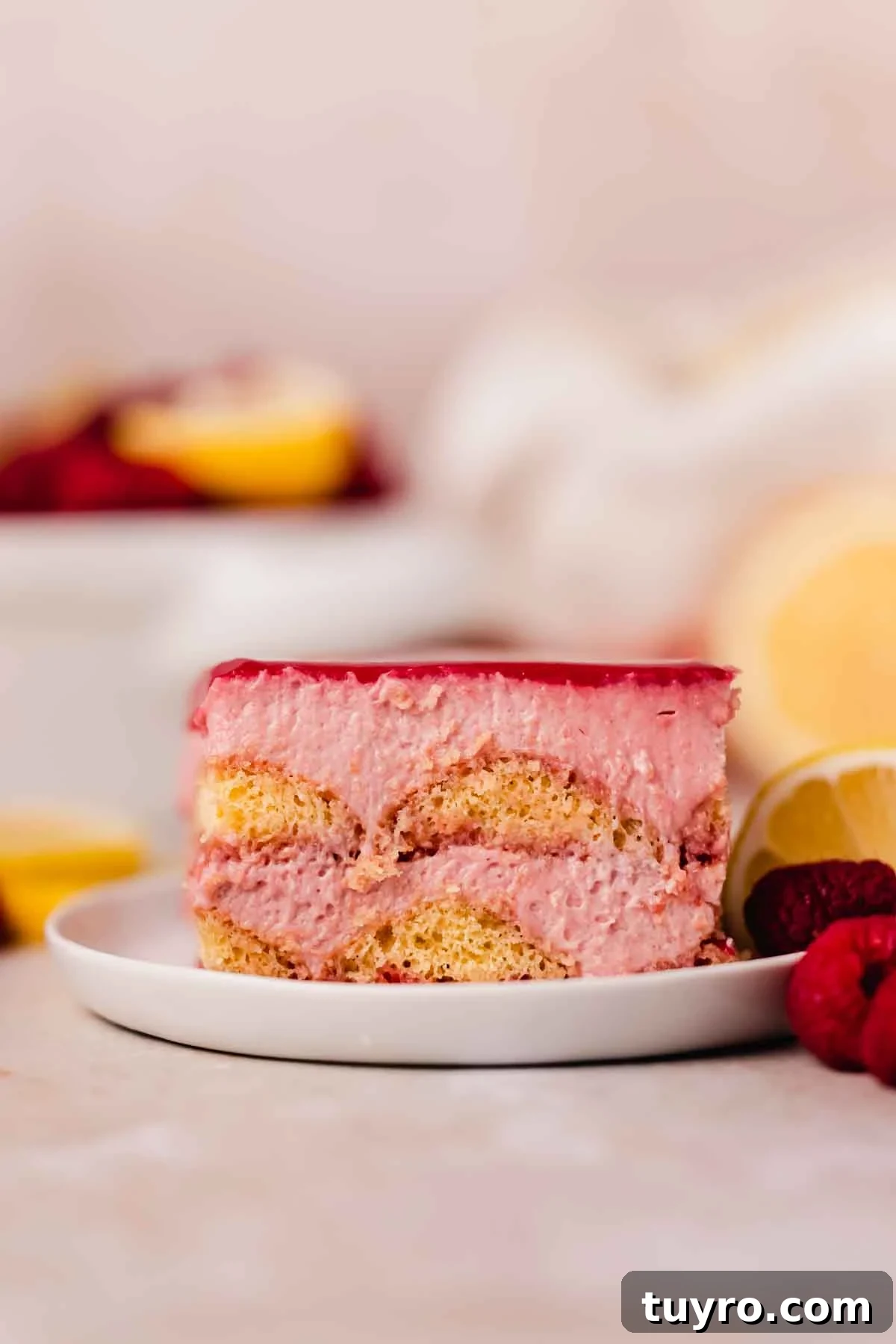 Raspberry Tiramisu Recipe: Light, Creamy Berry Dessert 16 raspberry tiramisu on plate