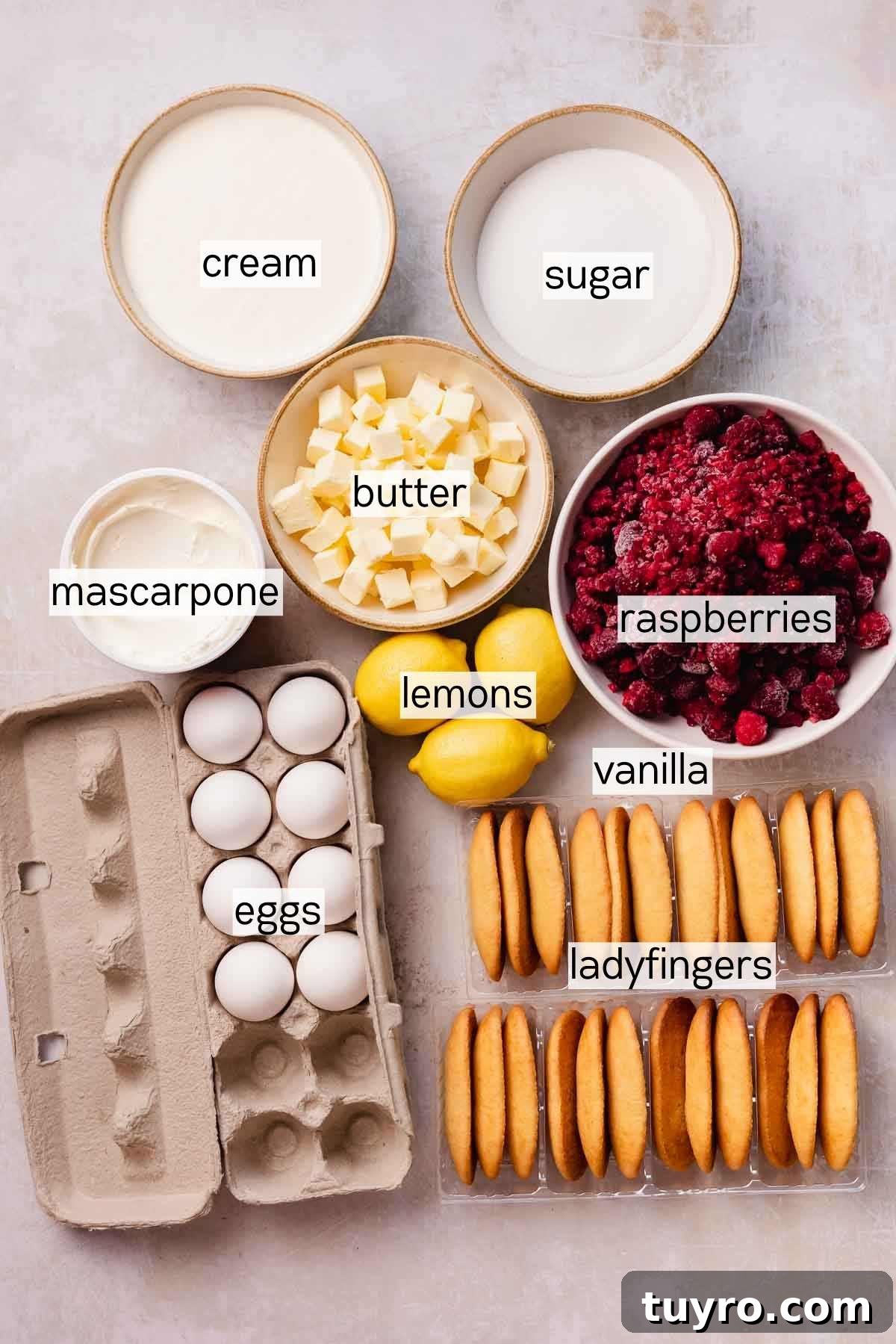 Raspberry Tiramisu Recipe: Light, Creamy Berry Dessert 4 raspberry tiramisu ingredients in bowls