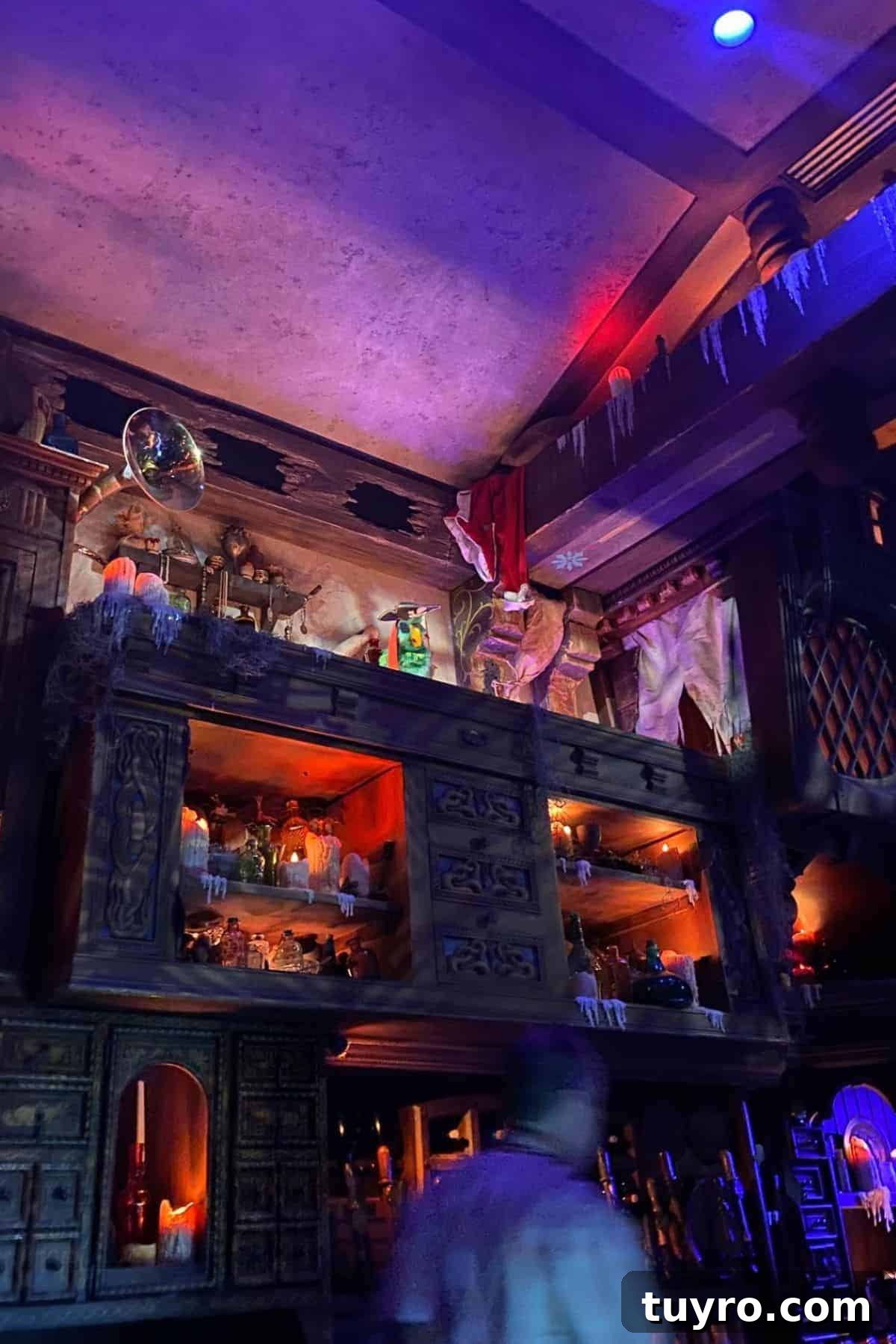 Beak & Barrel Restaurant Review: Dining Tips for Magic Kingdom 7 the beak and barrel bar details and parrot