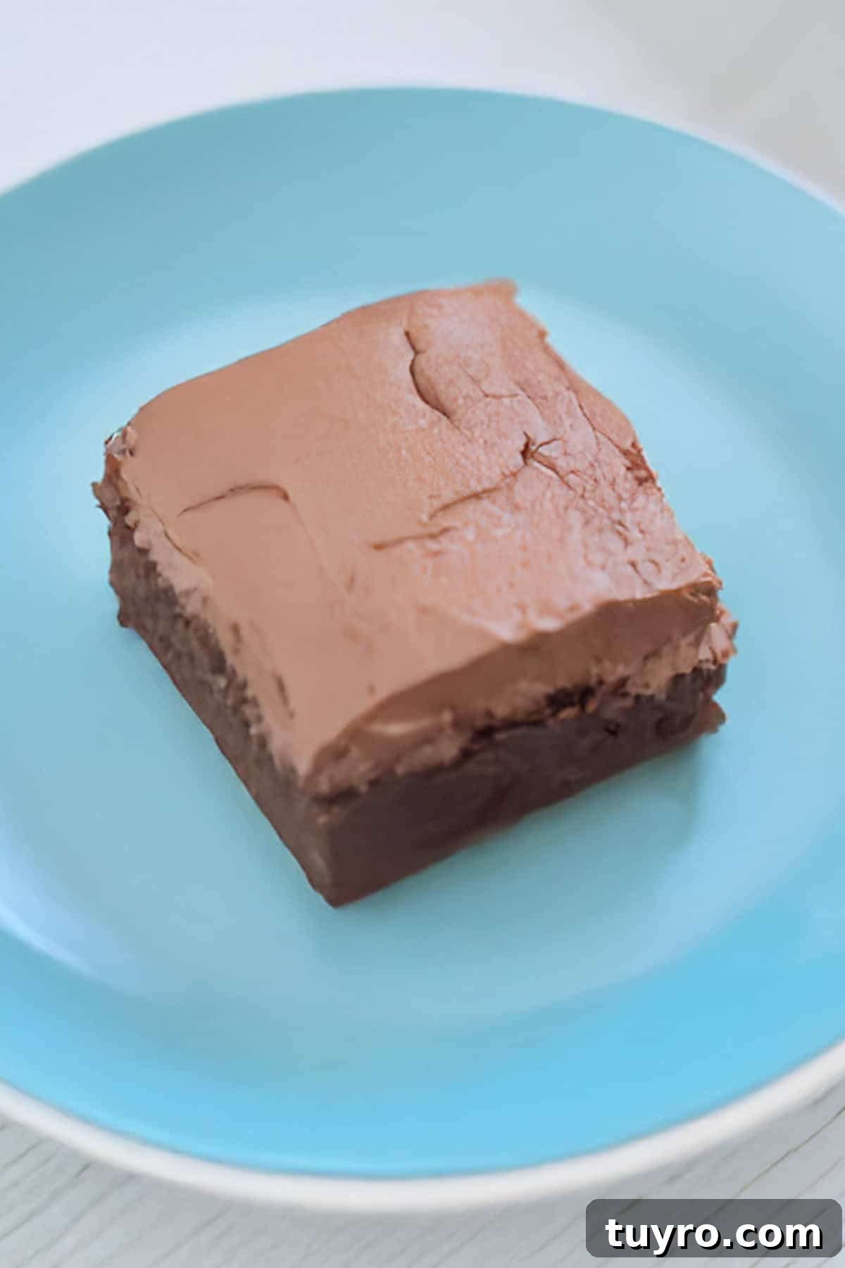 Flourless Mexican Chocolate Brownies with Cinnamon and Chili 4 A Mexican brownie with chocolate frosting sitting on a blue plate