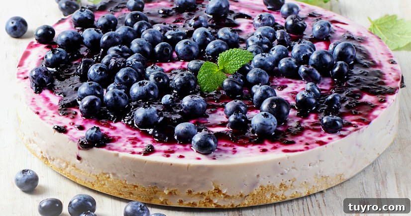 72 No-Bake Dessert Recipes You Can Make in Minutes 3 36 No Bake Cheesecake Recipes