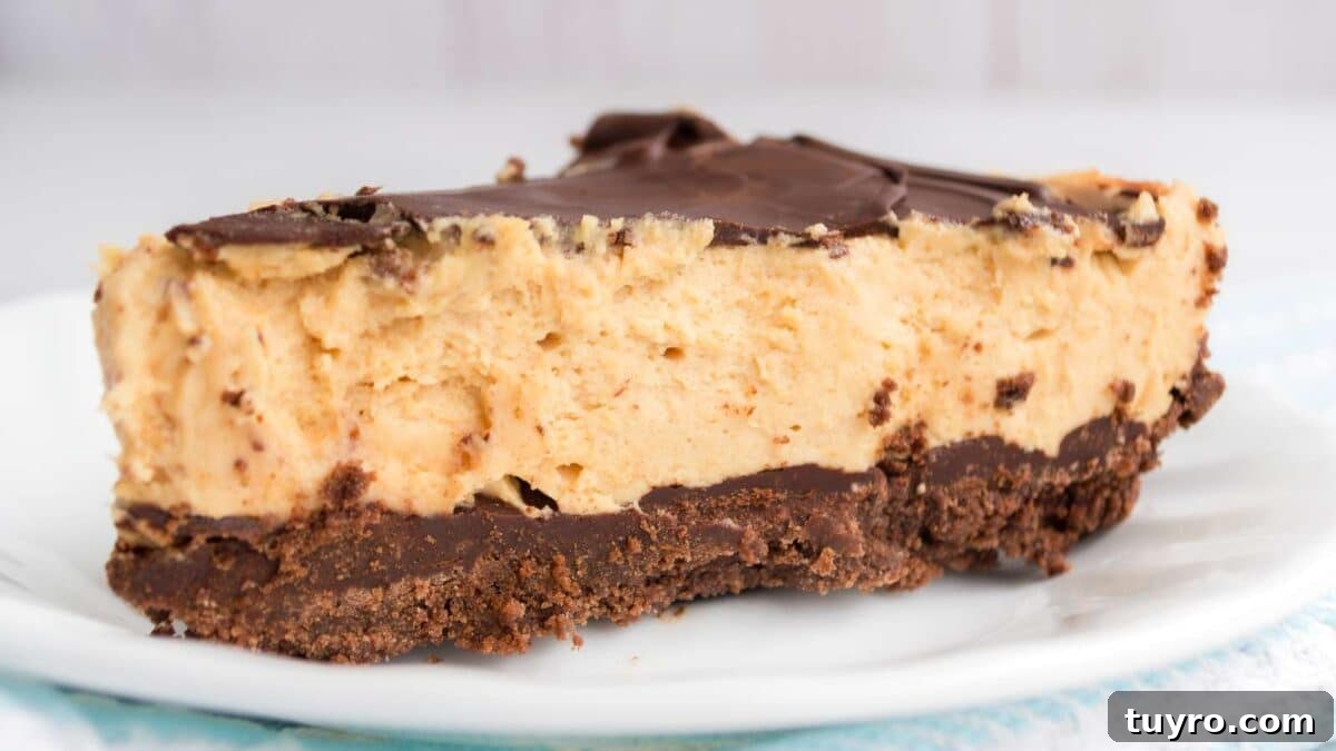 10 Chocolate Peanut Butter Recipes to Satisfy Every Craving 3 A slice of chocolate peanut butter pie on a white plate.