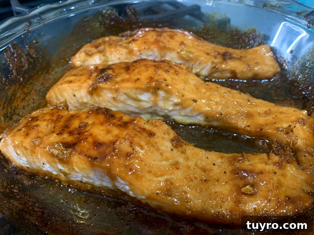Honey-Glazed Salmon with Brown Sugar and Soy Glaze 4 img 12431 3