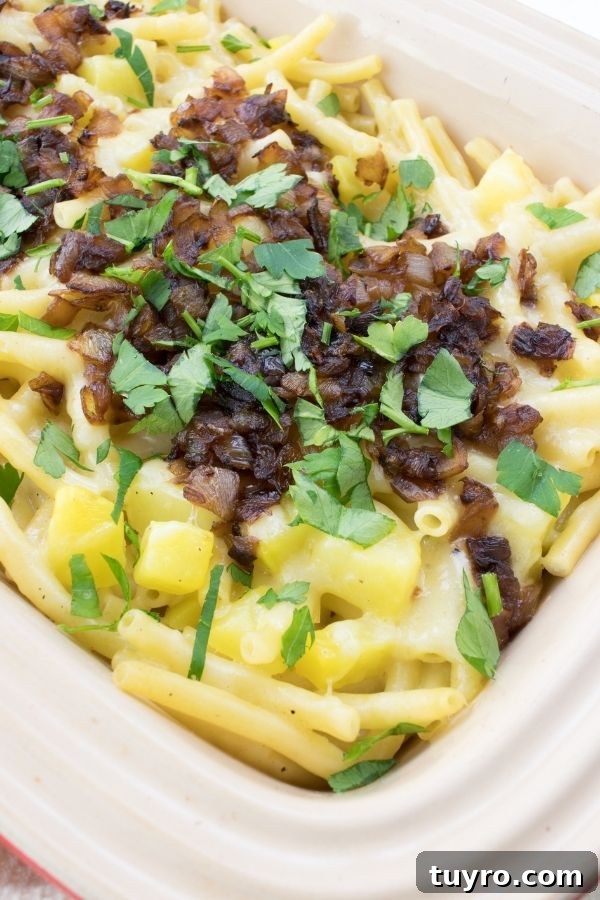 close up of cheesy Swiss alpine macaroni topped with onions and parsley