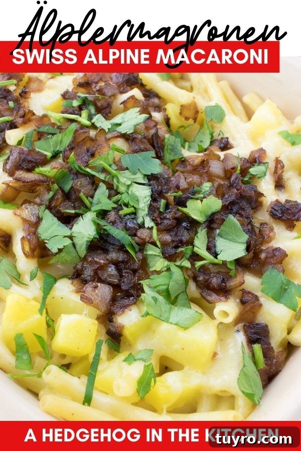 Älplermagronen (Swiss Alpine Macaroni)
