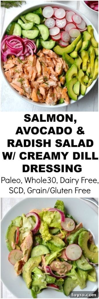 Salmon & Avocado Salad with Creamy Dill Dressing | Every Last Bite Salmon & Avocado Salad with Creamy Dill Dressing