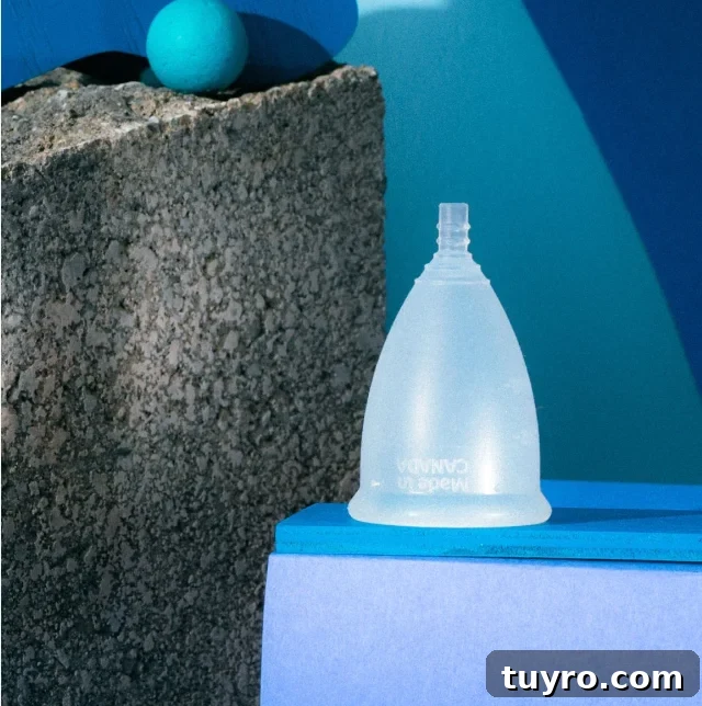 Non-Toxic Menstrual Care Products Canada Aisle Cup