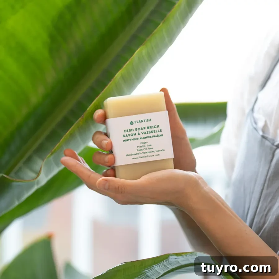 The Best Natural Home Cleaning Brands in Canada Plantish