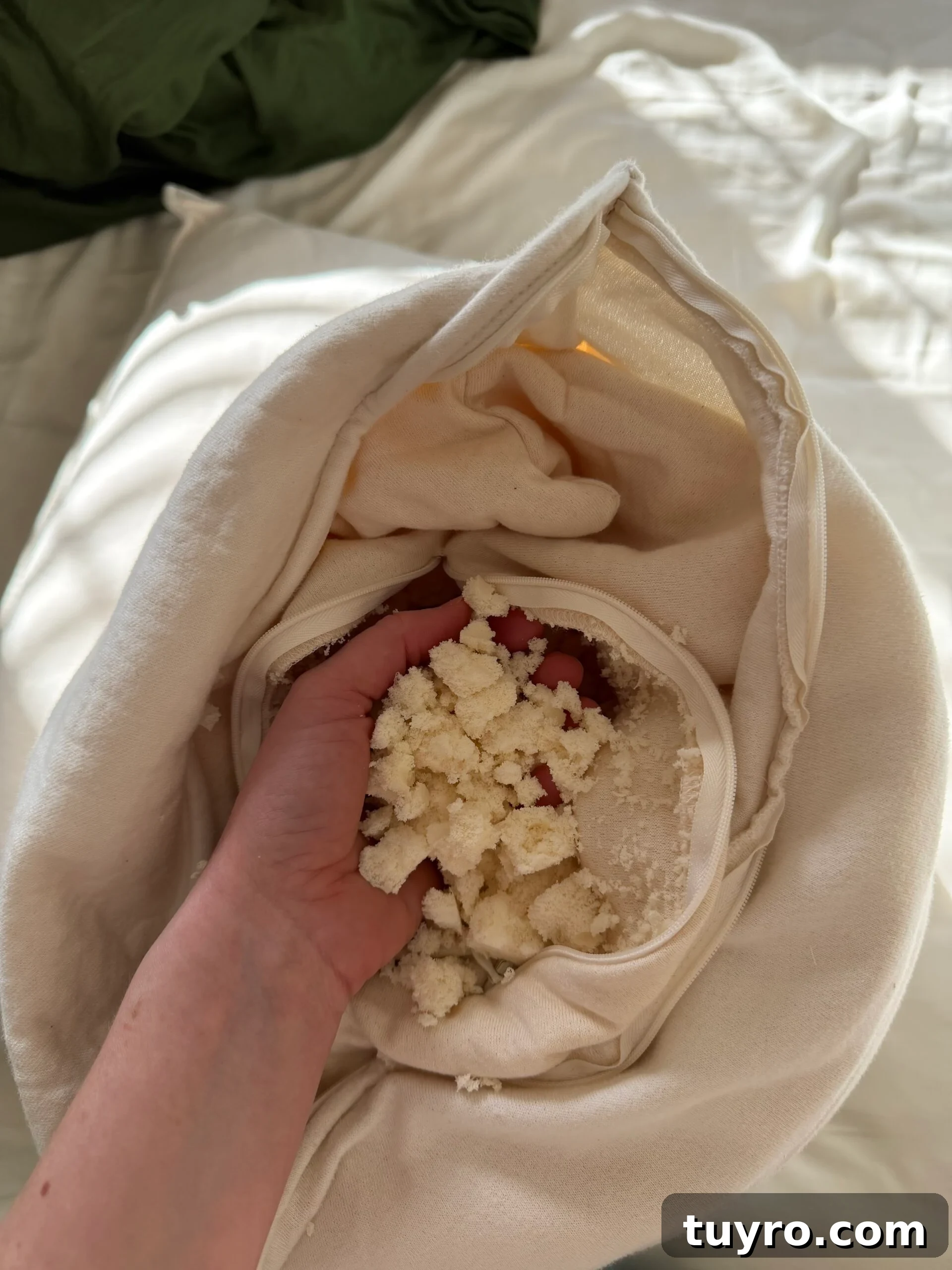 Hand holding organic latex foam filling from inside an Obasan pillow with unzipped cotton cover