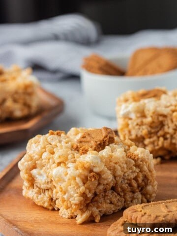 No-Bake Peanut Butter Rice Krispie Balls 12 slice of cookie butter rice krispie treat on wood plate
