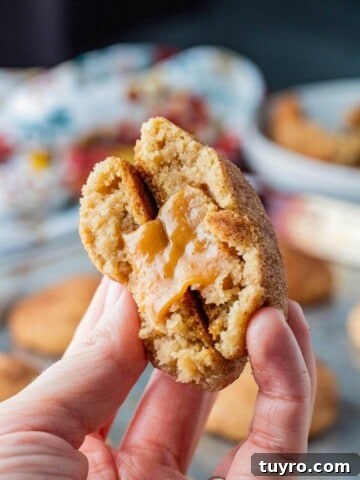 No-Bake Peanut Butter Rice Krispie Balls 13 Baked stuffed snickerdoodle broken in half in hand.