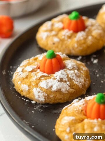 No-Bake Peanut Butter Rice Krispie Balls 14 Baked pumpkin sugar cookies on plate.