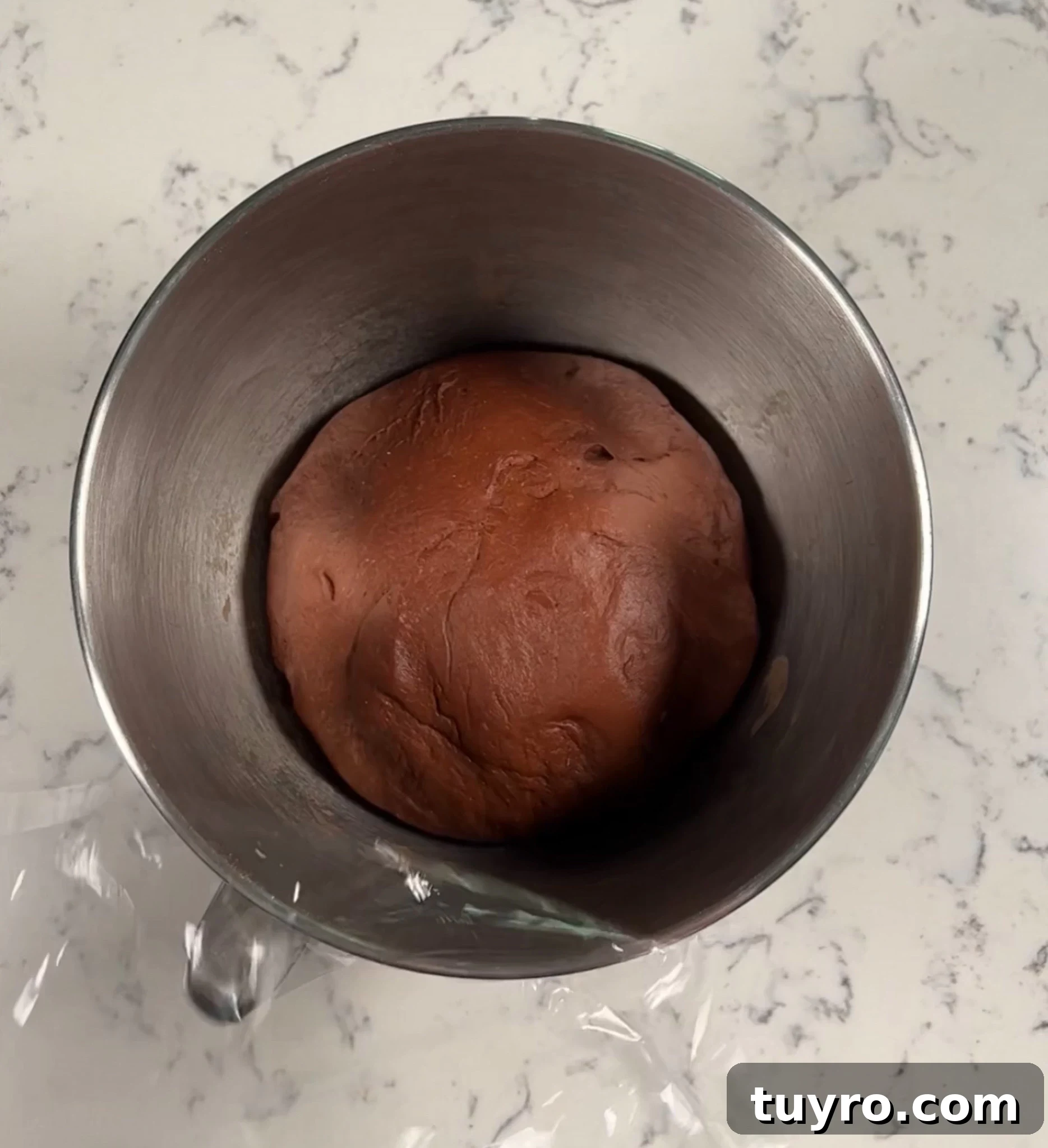 Chocolate Swirl Bread Recipe — Soft Homemade Choco Loaf 14 Dough after rising.