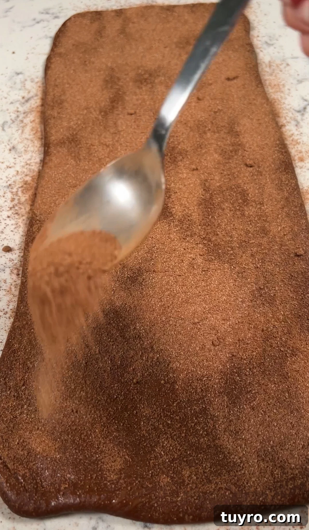 Chocolate Swirl Bread Recipe — Soft Homemade Choco Loaf 18 Adding cocoa sugar to the top of the dough.