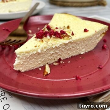 A single slice of diabetic cottage cheese on a red dessert plate.