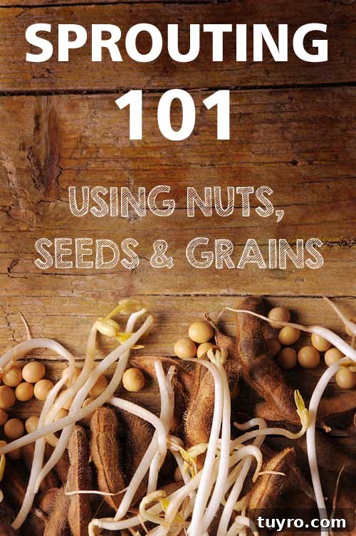 How to Sprout Nuts, Seeds & Grains at Home 2 Sprouting 101 - Using Nuts, Seeds & Grains | Foodal.com