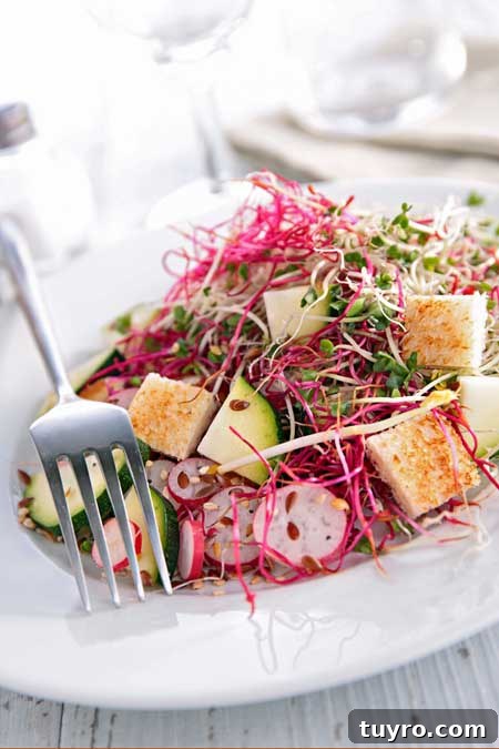 How to Sprout Nuts, Seeds & Grains at Home 11 Sprouting 101 - A nice salad made with sprouts | Foodal.com