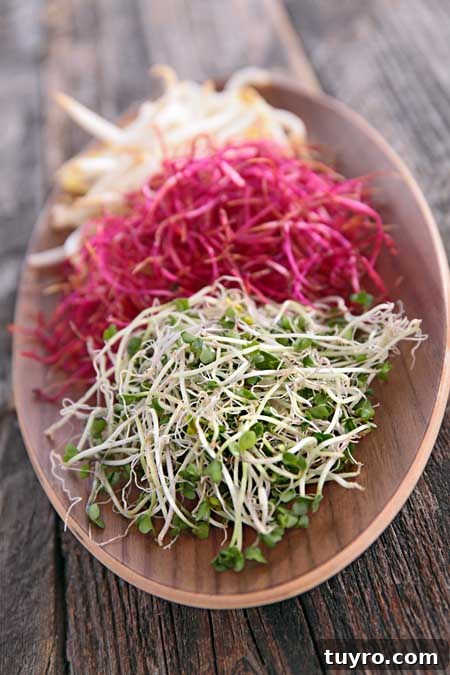 How to Sprout Nuts, Seeds & Grains at Home 3 Sprouting 101 - Incoporate them into you spiralized salads! | Foodal.com