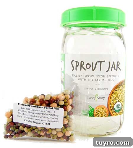 How to Sprout Nuts, Seeds & Grains at Home 8 One Quart Glass Sprouter Jar with Strainer Lid