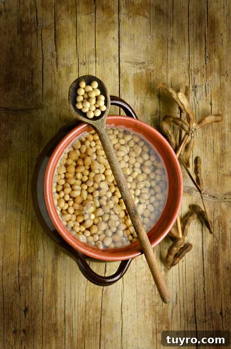 How to Sprout Nuts, Seeds & Grains at Home 10 Sprouting 101 - Soaking beans and seeds | Foodal.com