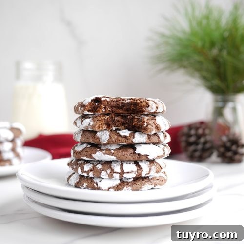 Fudgy Chocolate Crinkle Cookies