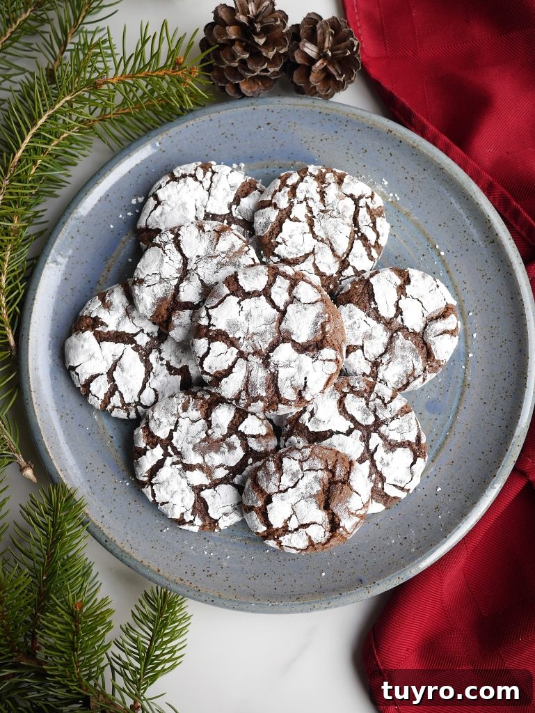 Fudgy Chocolate Crinkle Cookies Recipe 7 img 13667 6