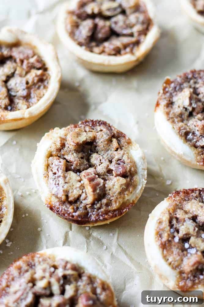Mini pecan pies are the perfect, bite-sized dessert recipe! These easy pies are filled with pecans and topped with whipped cream. They're a great recipe for a crowd! mini pecan pie