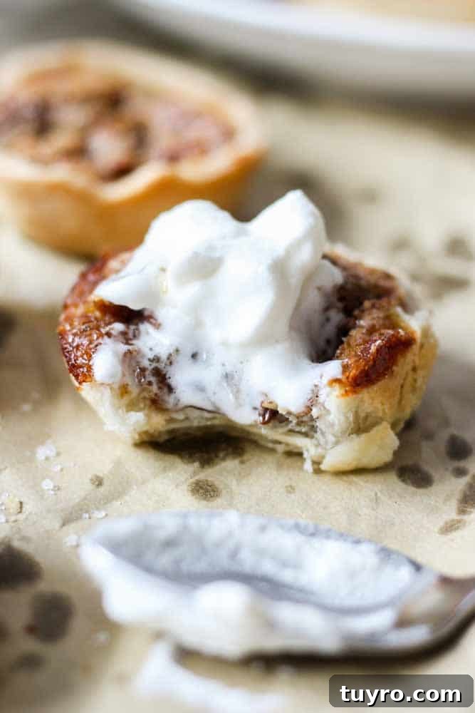 Mini pecan pies are the perfect, bite-sized dessert recipe! These easy pies are filled with pecans and topped with whipped cream. They're a great recipe for a crowd! mini pecan pie recipe