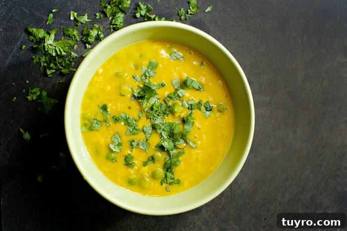 Chana Dal Recipe with Split Chickpeas 2 Chana Dal